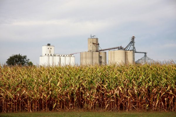 Kornfeld, dahinter Getreideaufzug in Iowa, USA